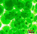 Metal core - silica shell nanoparticles